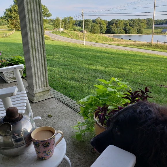 Meet your Posher, Angela - Picture 1 of 1